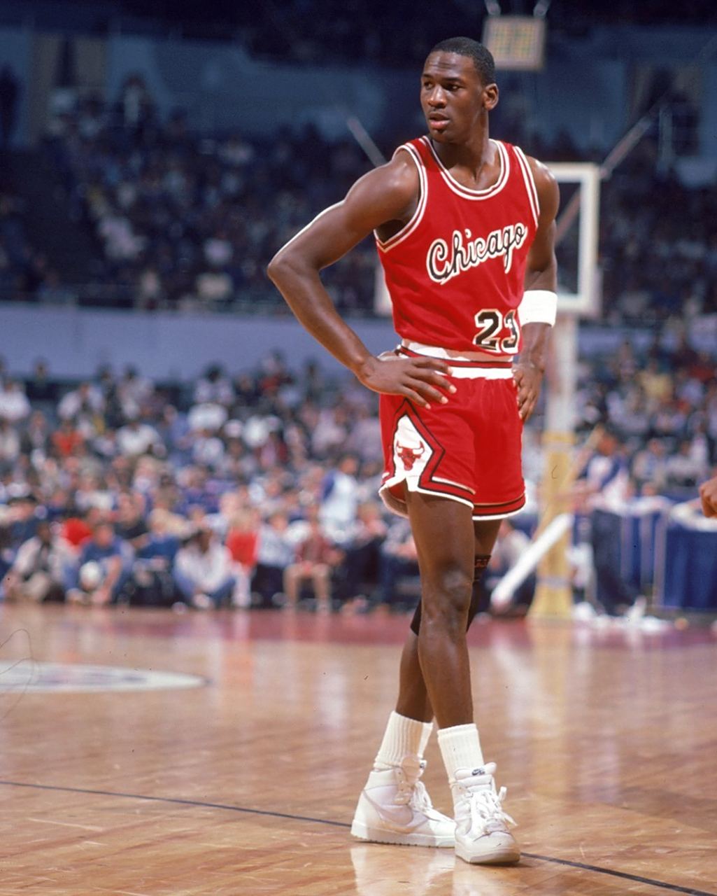 如何在提拔 如何在提拔