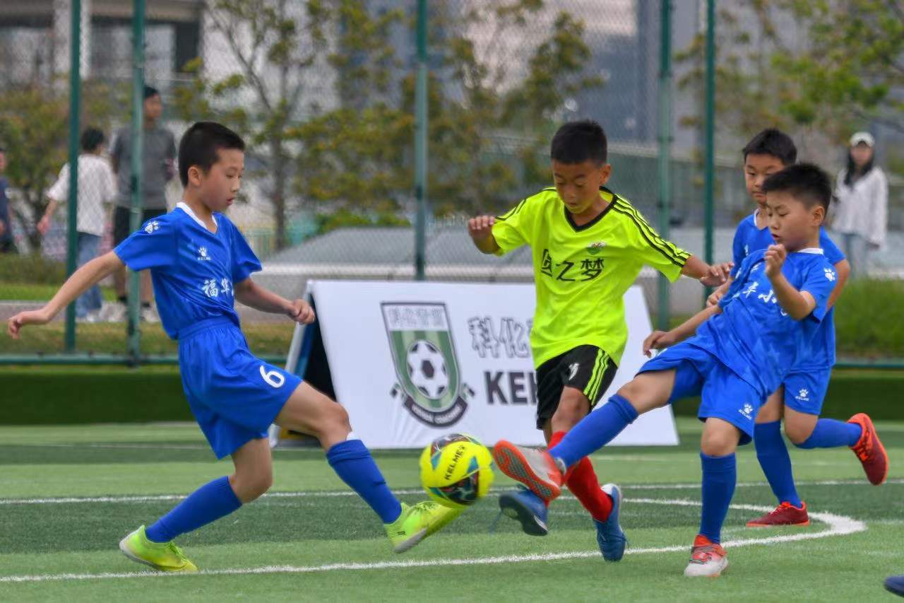 引领东营走 引领东营走